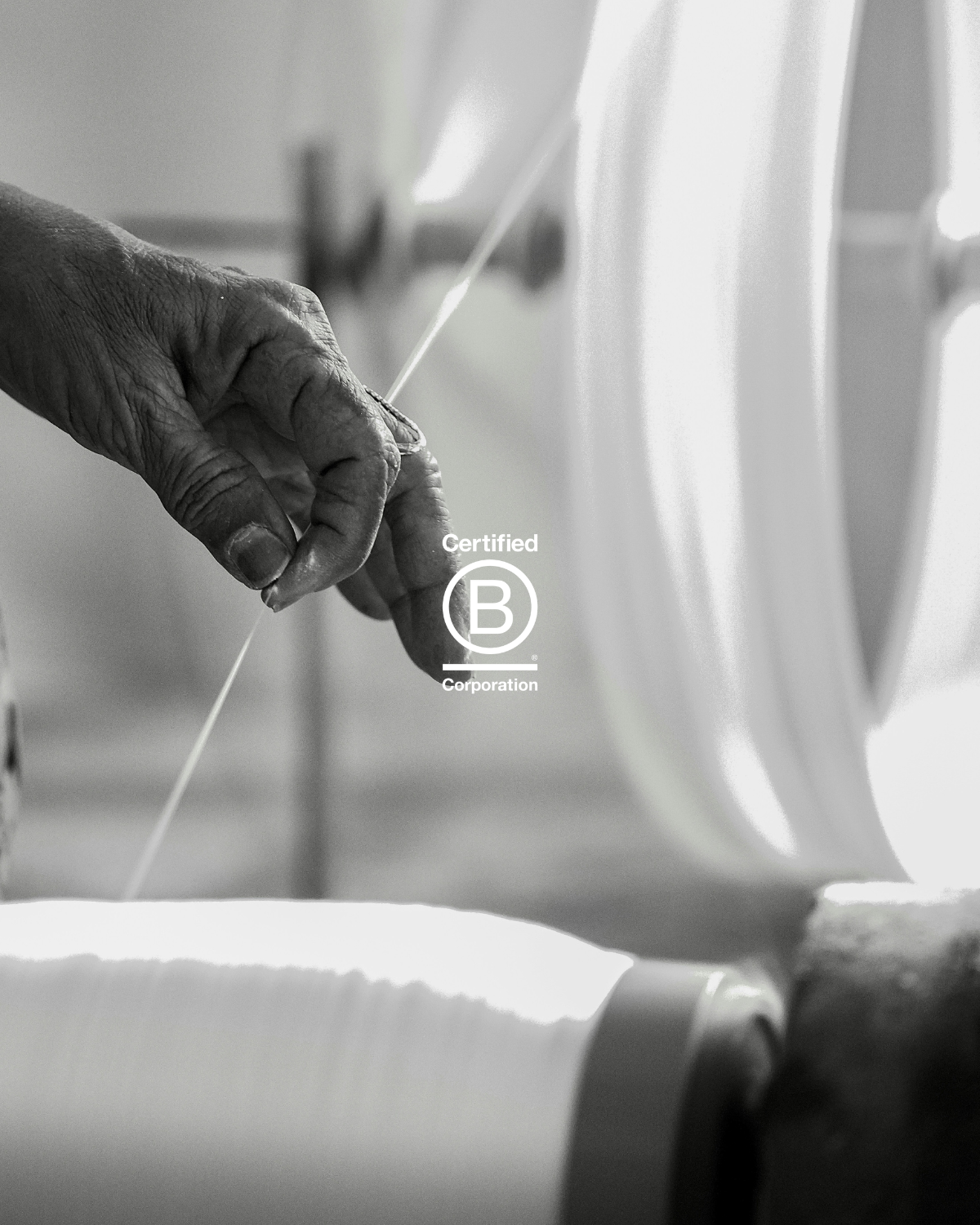 The Journey Behind Our B Corp Certification